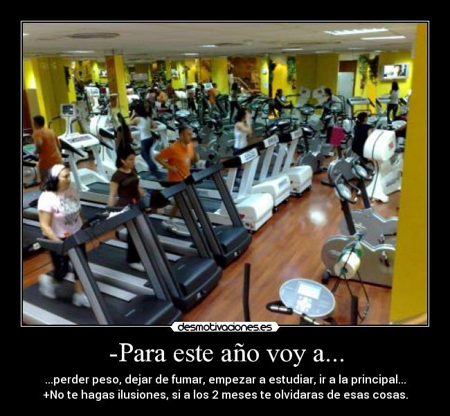 -Para este año voy a... -