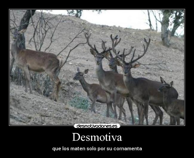Desmotiva -