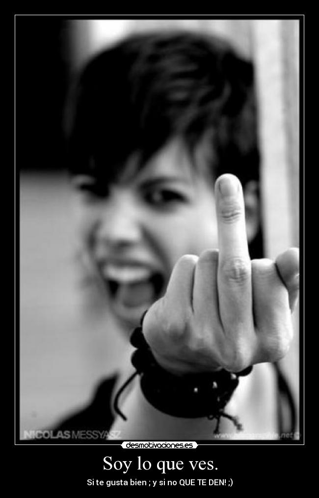Soy lo que ves. - Si te gusta bien ; y si no QUE TE DEN! ;)