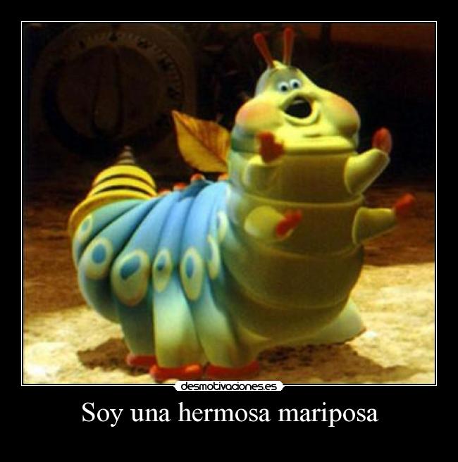 Soy una hermosa mariposa -