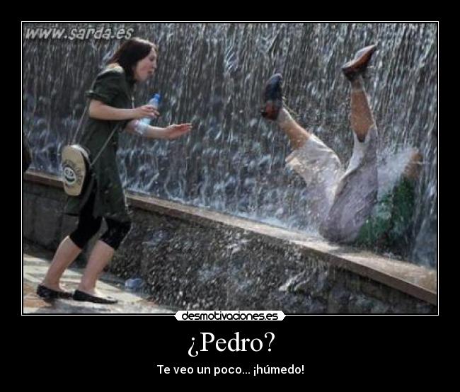 ¿Pedro? - Te veo un poco... ¡húmedo!