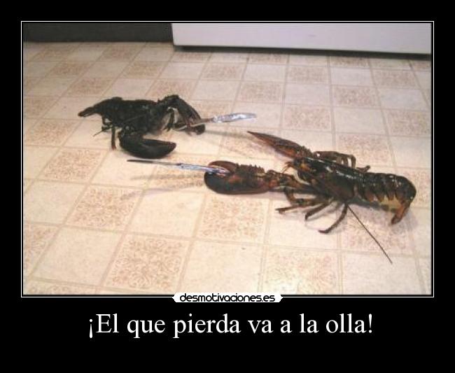 ¡El que pierda va a la olla! - 