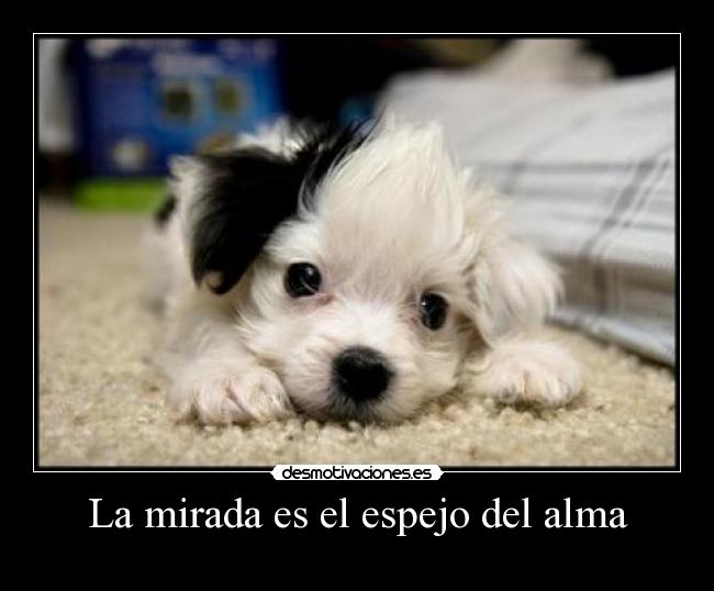 La mirada es el espejo del alma -