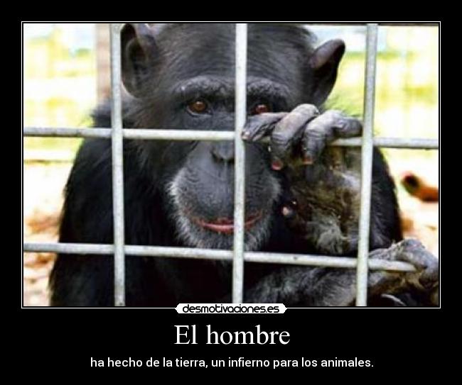 El hombre - 