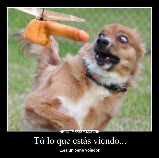 Tú lo que estás viendo... - ...es un pene volador