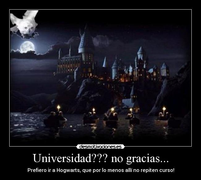 Universidad??? no gracias... -