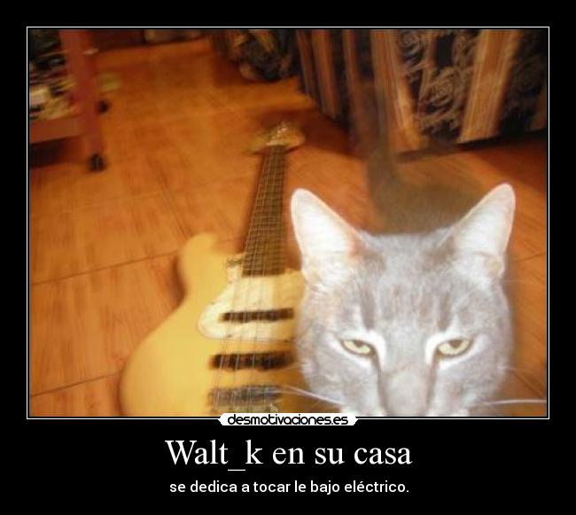 carteles casa walt_k desmotivaciones