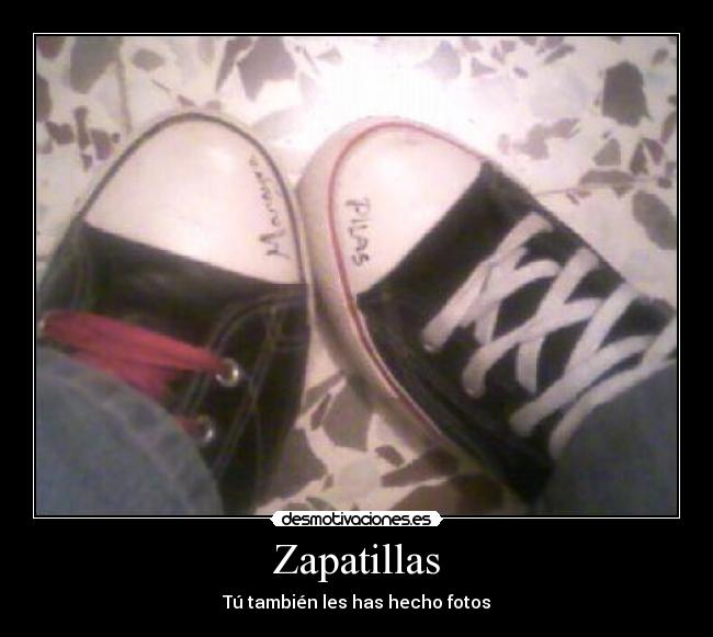 Zapatillas - Tú también les has hecho fotos