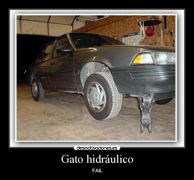 Gato hidráulico -