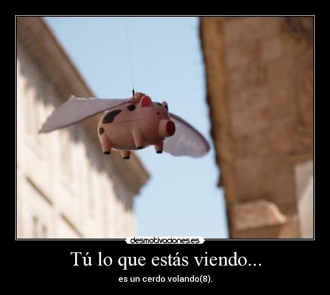 Tú lo que estás viendo... -