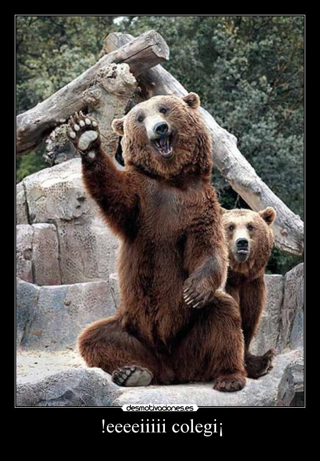 !eeeeiiiii colegi¡ -