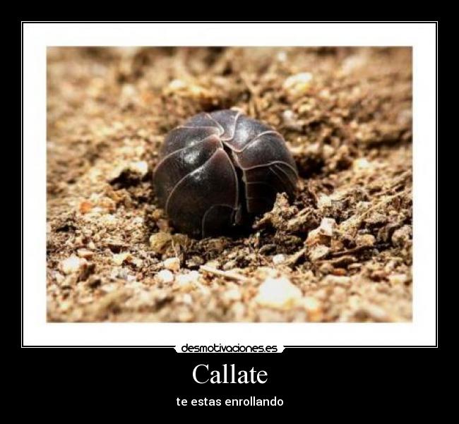 Callate - 