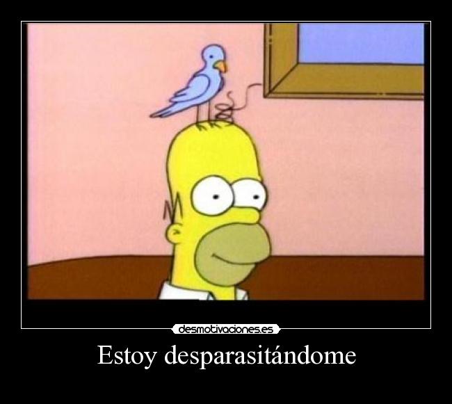 Estoy desparasitándome -