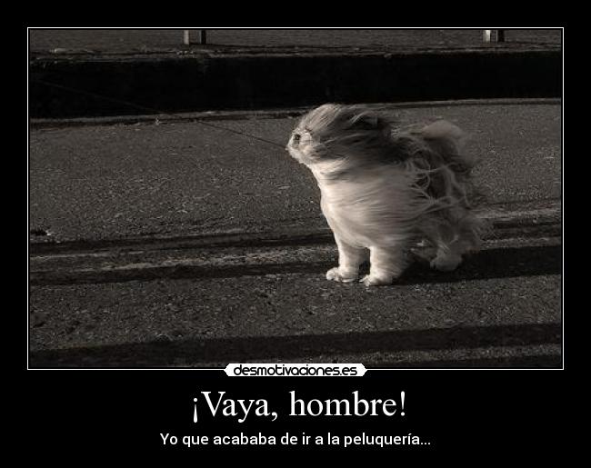 ¡Vaya, hombre! -
