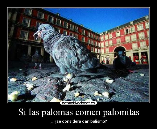 Si las palomas comen palomitas - ... ¿se considera canibalismo?