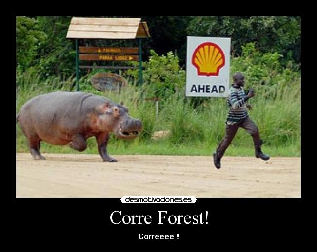 Corre Forest! -