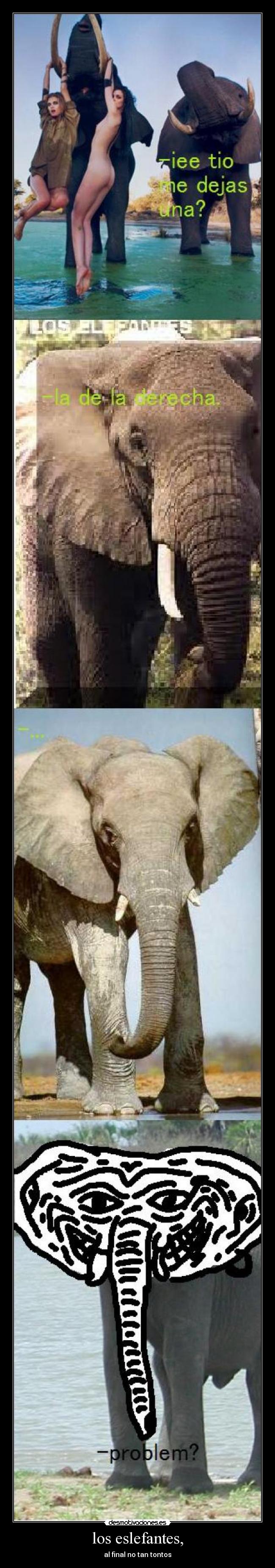 los eslefantes, -