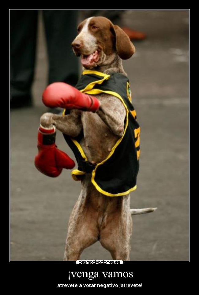 ¡venga vamos - atrevete a votar negativo ,atrevete!