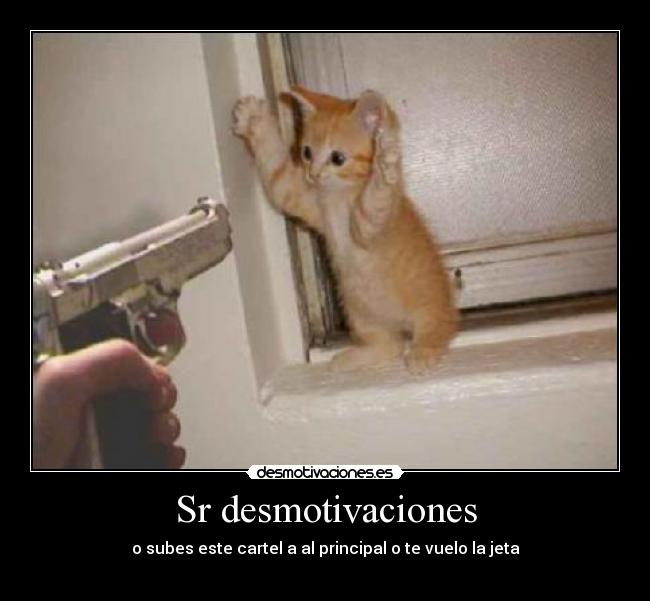 Sr desmotivaciones - o subes este cartel a al principal o te vuelo la jeta