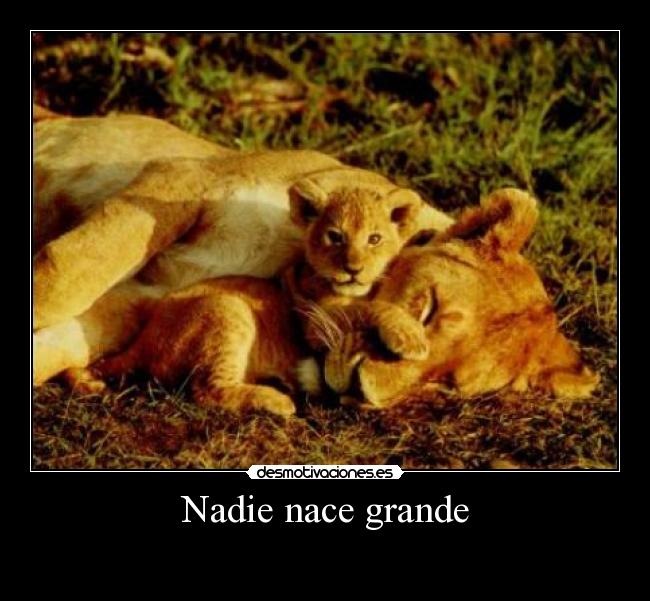 Nadie nace grande -