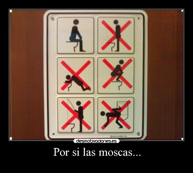 Por si las moscas... -