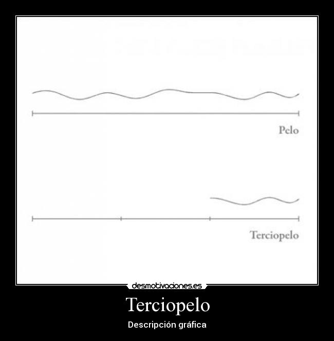 Terciopelo - Descripción gráfica