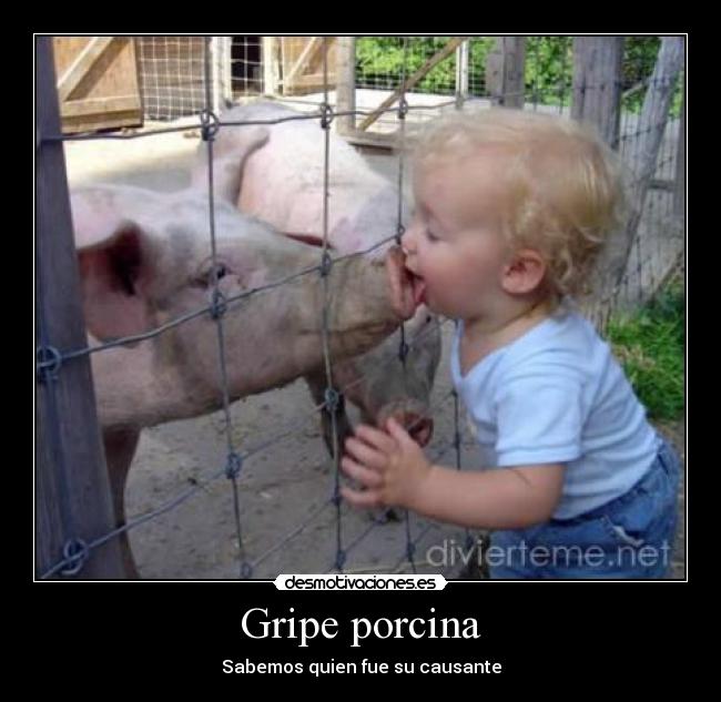 Gripe porcina - Sabemos quien fue su causante