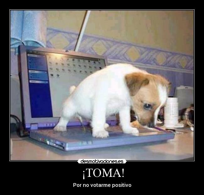 ¡TOMA! - Por no votarme positivo