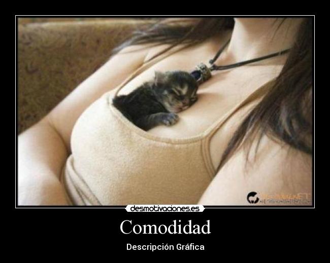 Comodidad -