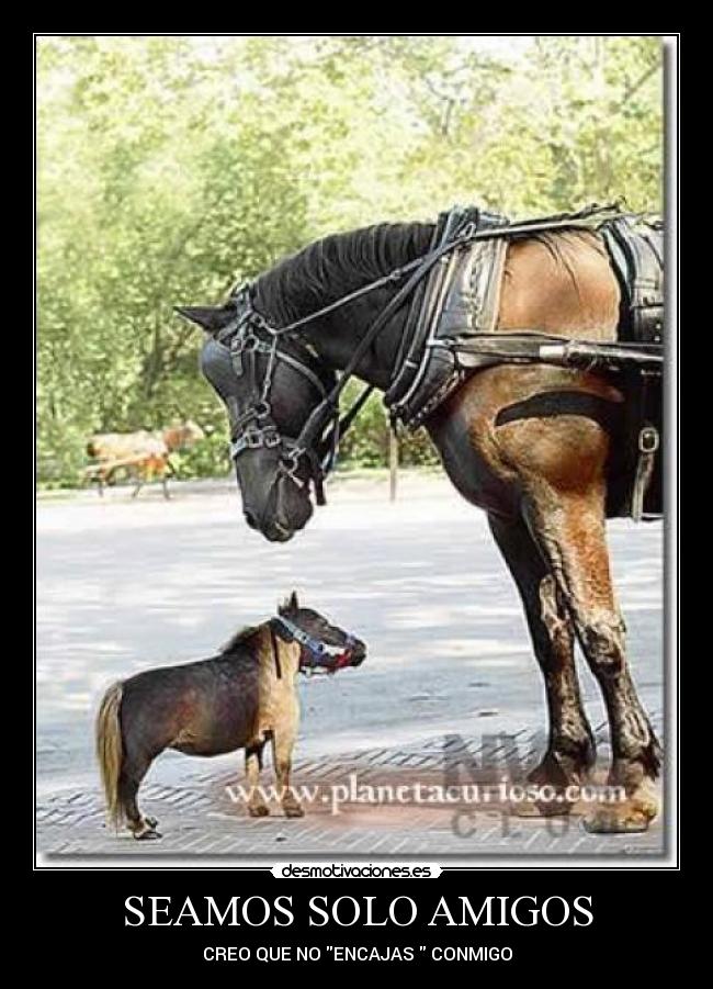 SEAMOS SOLO AMIGOS -