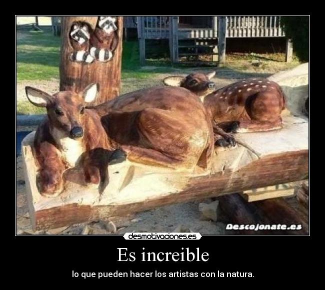 Es increible - 