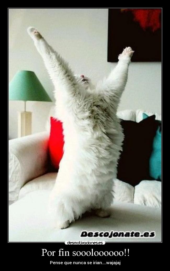 Por fin soooloooooo!! - 