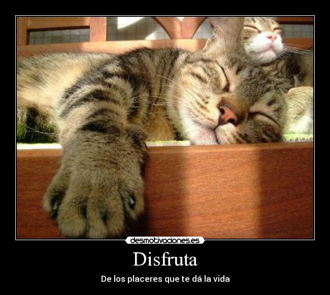 Disfruta - De los placeres que te dá la vida