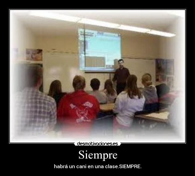 Siempre - 