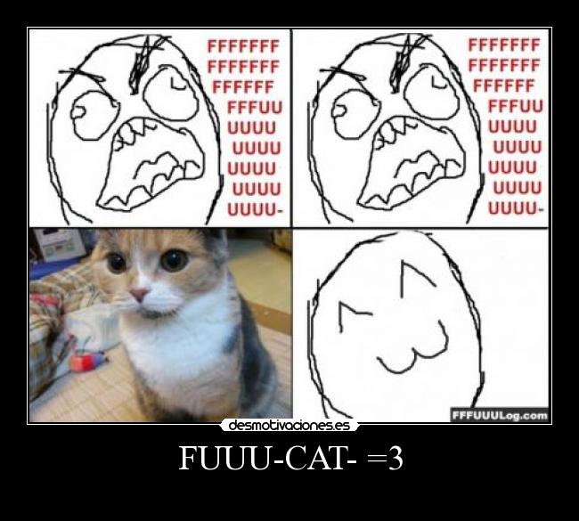 FUUU-CAT- =3 - 