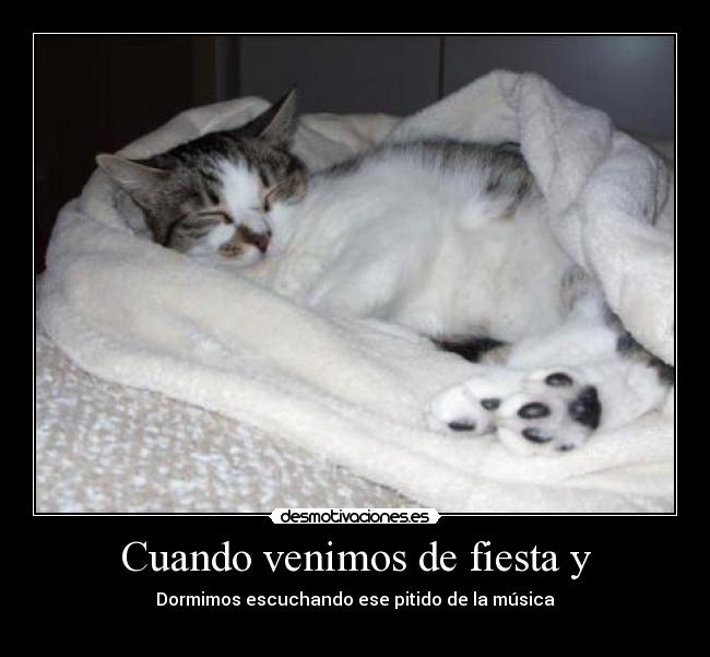 Cuando venimos de fiesta y - Dormimos escuchando ese pitido de la música