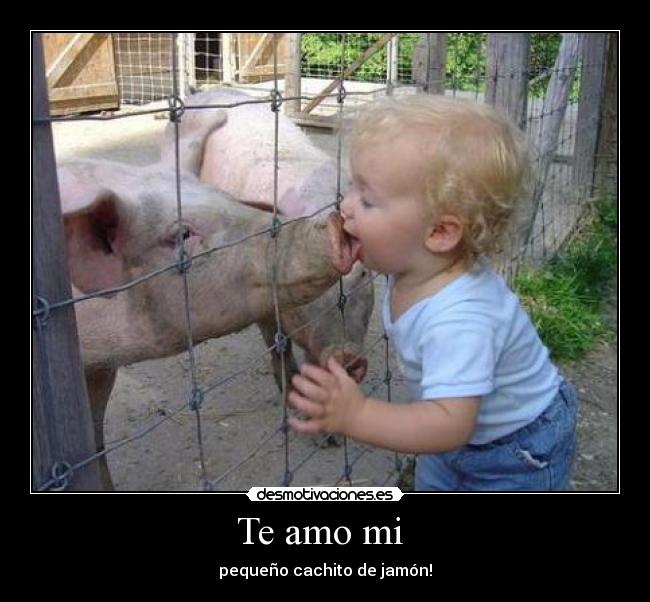 Te amo mi - pequeño cachito de jamón!