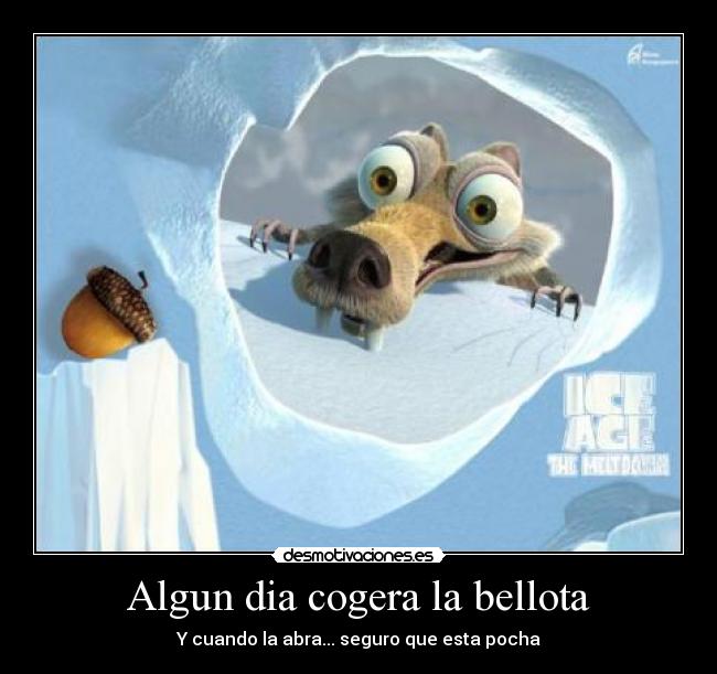 Algun dia cogera la bellota -