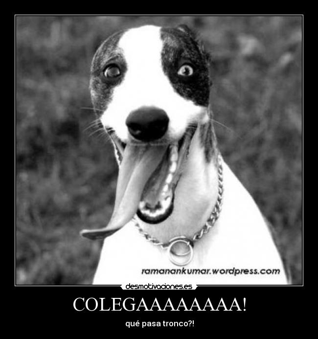 carteles perro loco desmotivaciones