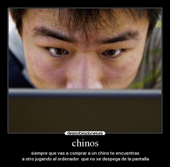 chinos - siempre que vas a comprar a un chino te encuentras
 a otro jugando al ordenador  que no se despega de la pantalla