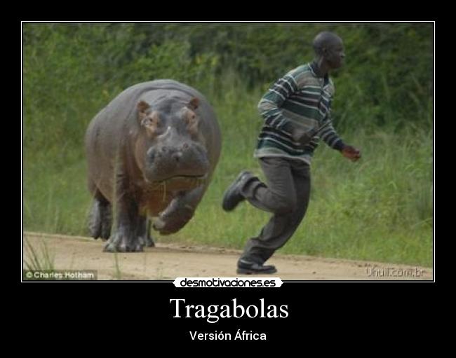 Tragabolas - Versión África