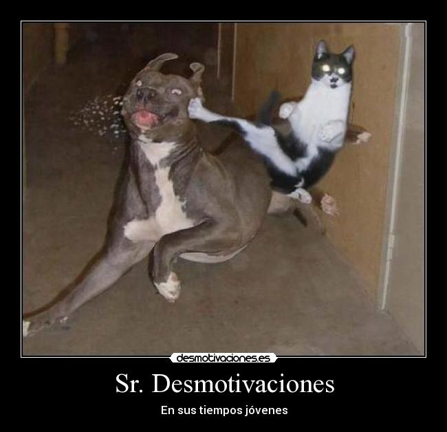 carteles desmotivaciones humor desmotivaciones