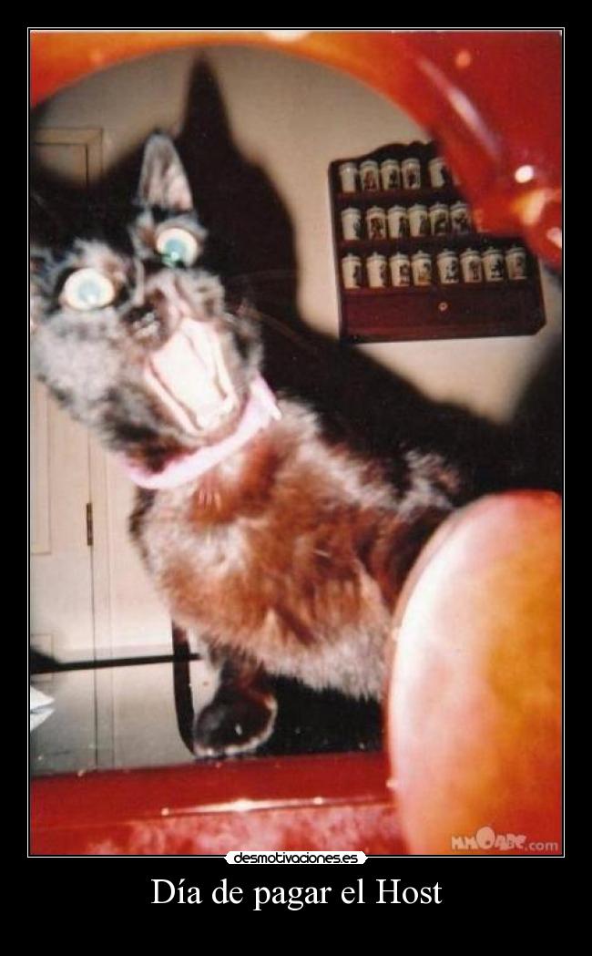 Día de pagar el Host -