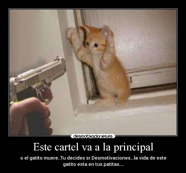 Este cartel va a la principal - 