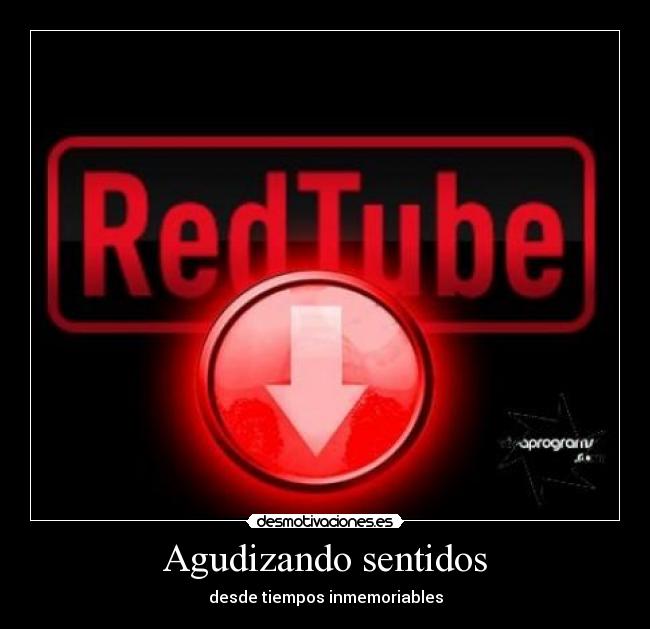 Agudizando sentidos -