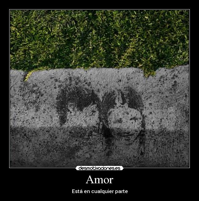 Amor - Está en cualquier parte