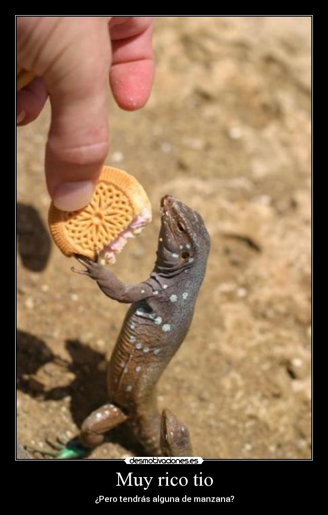 Muy rico tio - ¿Pero tendrás alguna de manzana?