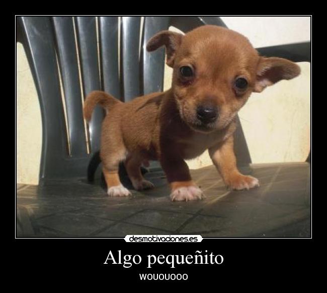 Algo pequeñito - WOUOUOOO