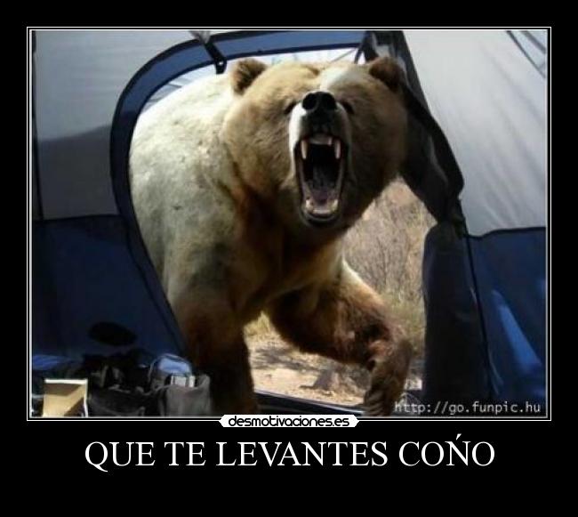 QUE TE LEVANTES COŃO -