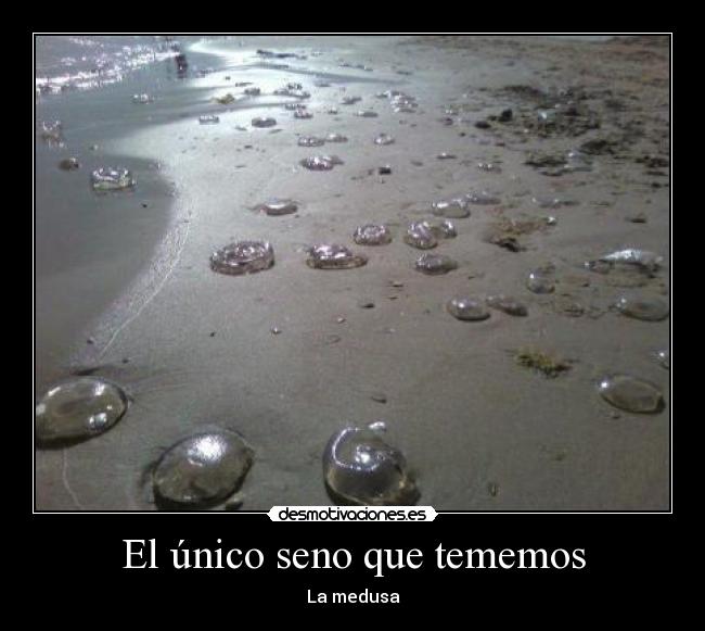 carteles haja desmotivaciones